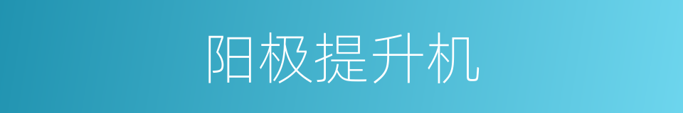 阳极提升机的同义词