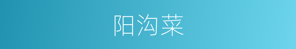 阳沟菜的同义词