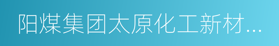 阳煤集团太原化工新材料有限公司的同义词