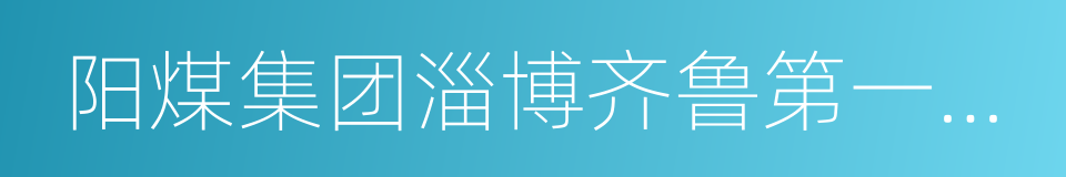 阳煤集团淄博齐鲁第一化肥有限公司的同义词