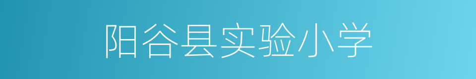 阳谷县实验小学的同义词