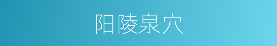 阳陵泉穴的同义词