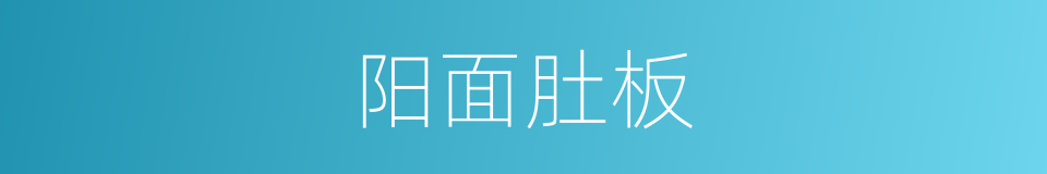 阳面肚板的同义词