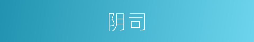 阴司的同义词
