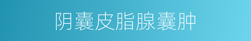 阴囊皮脂腺囊肿的同义词