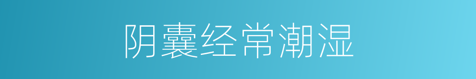 阴囊经常潮湿的同义词