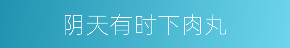 阴天有时下肉丸的同义词