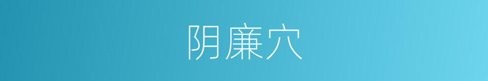阴廉穴的同义词