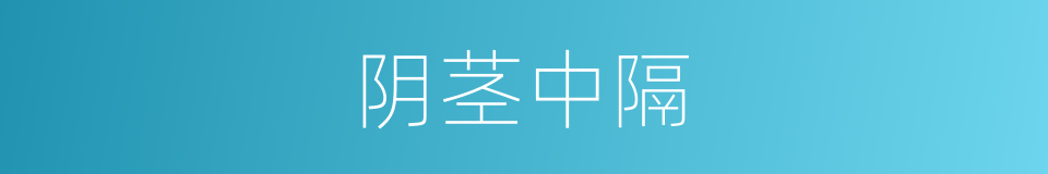 阴茎中隔的同义词