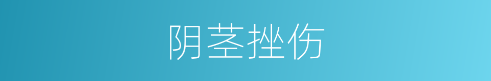 阴茎挫伤的同义词