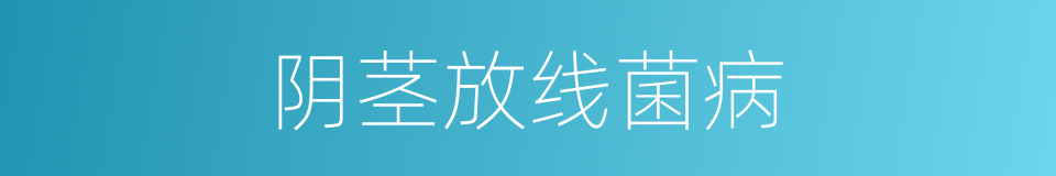阴茎放线菌病的同义词