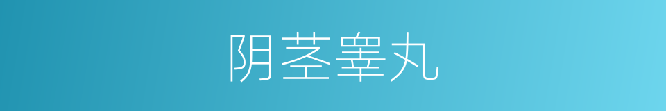阴茎睾丸的同义词