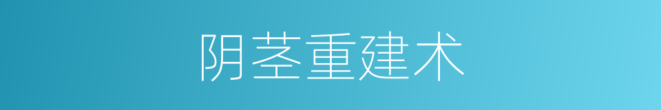 阴茎重建术的同义词
