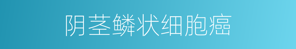 阴茎鳞状细胞癌的同义词