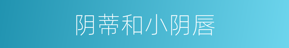 阴蒂和小阴唇的同义词