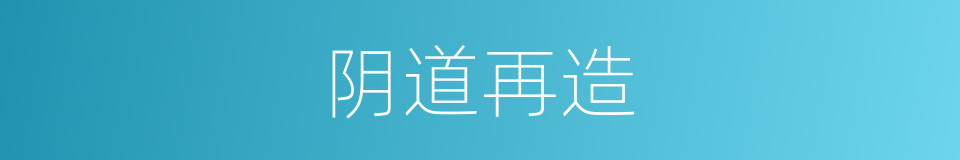 阴道再造的同义词