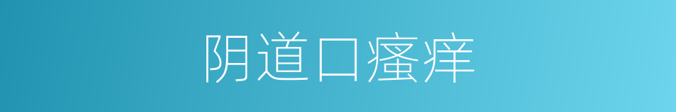 阴道口瘙痒的同义词