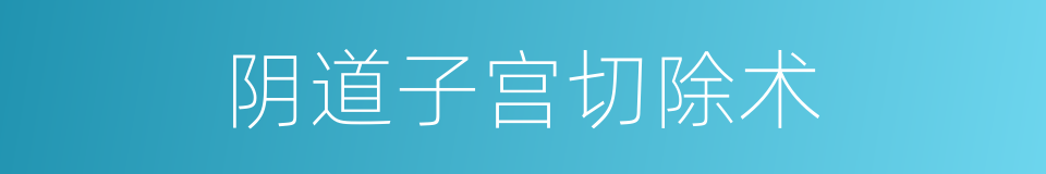 阴道子宫切除术的同义词