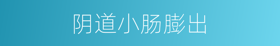 阴道小肠膨出的同义词