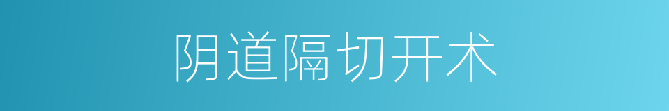 阴道隔切开术的同义词