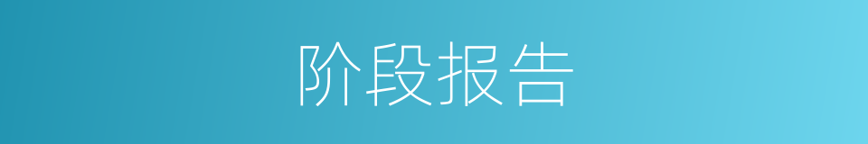 阶段报告的同义词