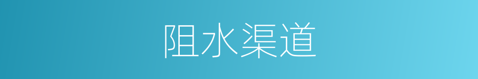 阻水渠道的同义词