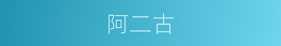 阿二古的同义词