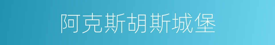 阿克斯胡斯城堡的同义词