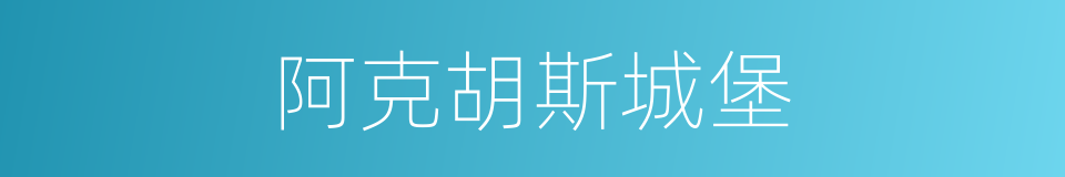阿克胡斯城堡的同义词