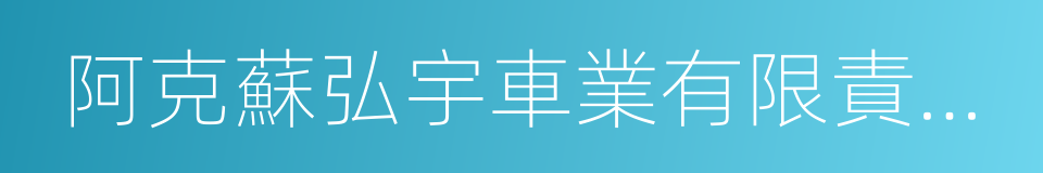 阿克蘇弘宇車業有限責任公司的同義詞