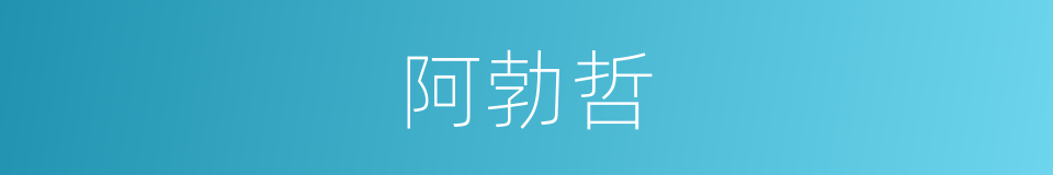 阿勃哲的同义词