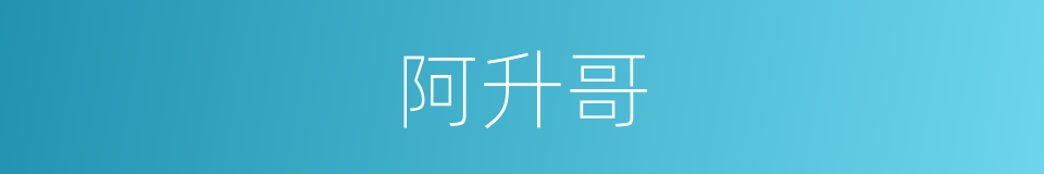 阿升哥的同义词
