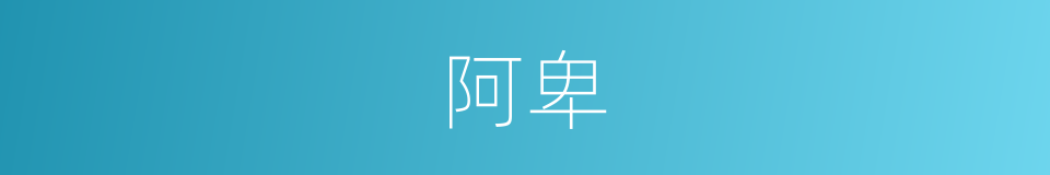 阿卑的意思