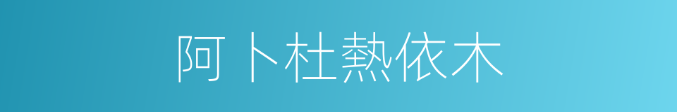 阿卜杜熱依木的同義詞