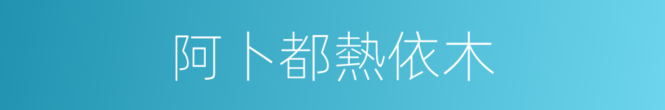 阿卜都熱依木的同義詞