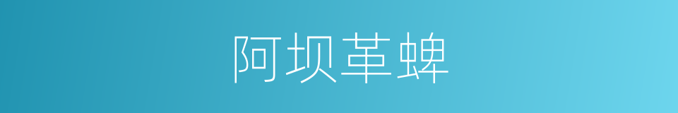 阿坝革蜱的同义词