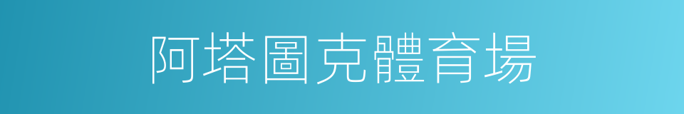 阿塔圖克體育場的同義詞