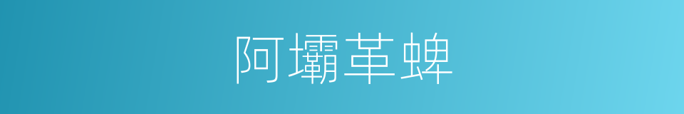 阿壩革蜱的同義詞