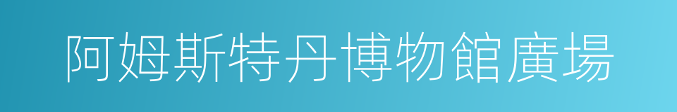 阿姆斯特丹博物館廣場的同義詞