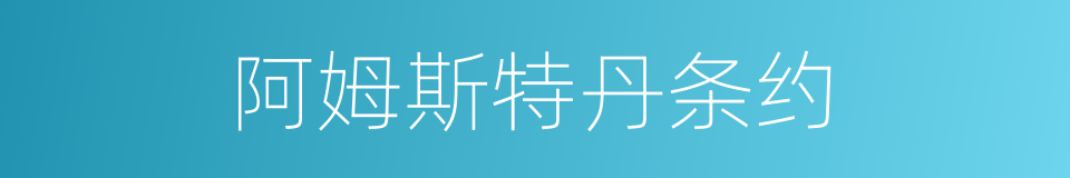 阿姆斯特丹条约的同义词