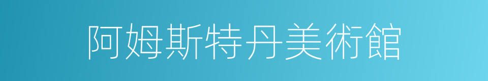 阿姆斯特丹美術館的同義詞