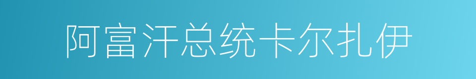 阿富汗总统卡尔扎伊的同义词