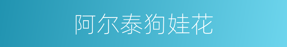 阿尔泰狗娃花的同义词