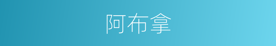 阿布拿的同义词