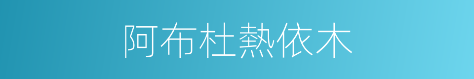 阿布杜熱依木的同義詞