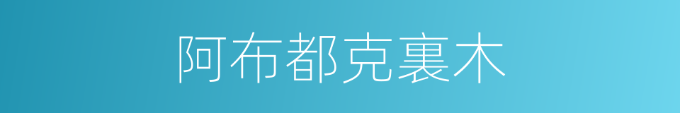 阿布都克裏木的同義詞