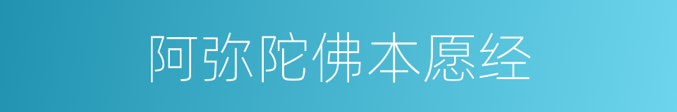 阿弥陀佛本愿经的同义词