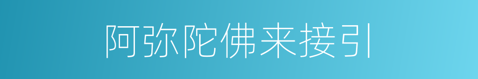 阿弥陀佛来接引的同义词