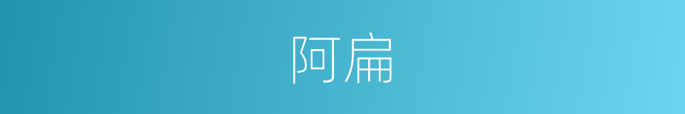 阿扁的意思