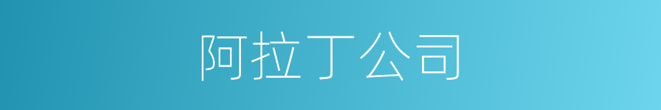 阿拉丁公司的同义词